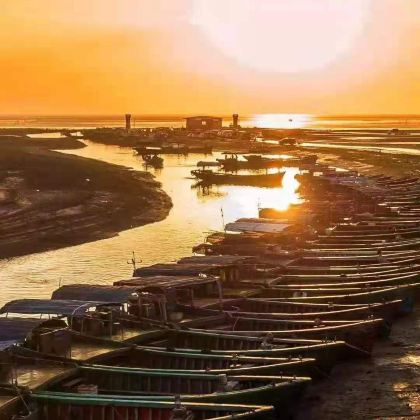 广东湛江+中国大陆南极村+湛江军事文化博览园5日4晚私家团