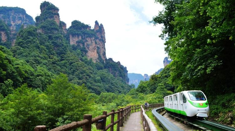 5D4N · Private Tours · Beat the summer heat in Zhangjiajie's cool forests. Enjoy private guided tours, water activities, and flexible vehicle upgrades for your group.