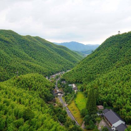 安吉3日2晚跟团游