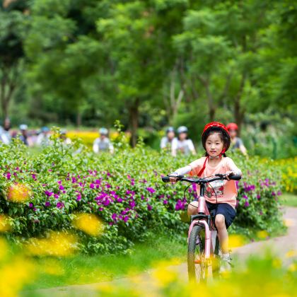 亲近自然 北京兴安湖1日独立营 春日骑行与植树 车轮丈量欢乐，植树栽种梦想