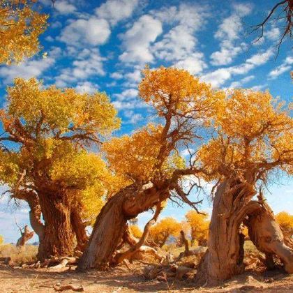 乌鲁木齐+吐鲁番+鄯善+哈密+伊吾+奇台11日10晚私家团