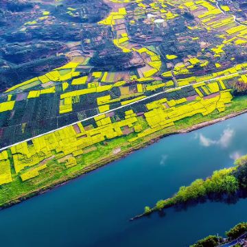 黄山+婺源+千岛湖+望仙谷+宏村+西递+徽州古城+西溪南古村落+新安江山水画廊8日7晚私家团