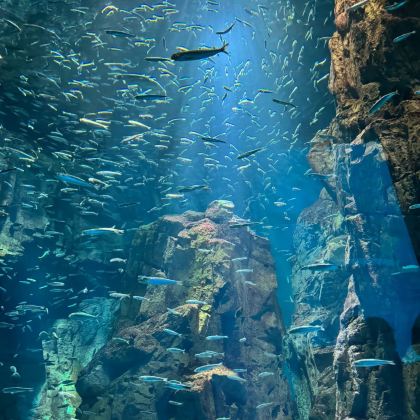 日本大阪+京都5日4晚私家团