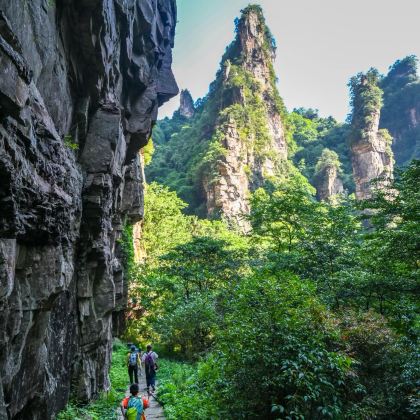张家界国家森林公园+天门山+芙蓉镇+凤凰古城5日4晚私家团