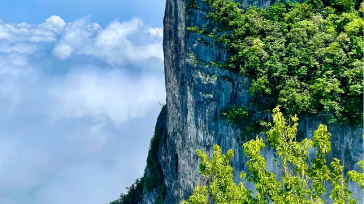 张家界+天门山+凤凰5日4晚跟团游·【自营·楚韵画峤】6人纯玩热销！8大VIP通道&1+1商务车【指定2晚希尔顿+野奢漫岩山居观日出+凤凰甲级民宿】 赠百龙天梯+黄石寨索道往返+杨家界索道+88茶歇点心+耳麦讲解+苗服换装