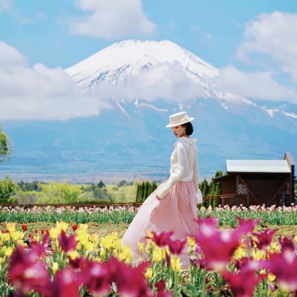 日本大阪5日4晚自由行