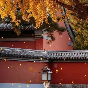 成都+峨眉山+九寨沟+乐山5日4晚私家团