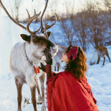 乌兰布统+木兰围场+塞罕坝+坝上+承德5日4晚拼小团