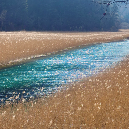 成都+九寨沟+四姑娘山景区+黄龙风景名胜区5日4晚拼小团
