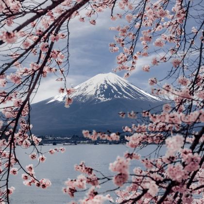 日本东京+富士山+箱根5日4晚拼小团