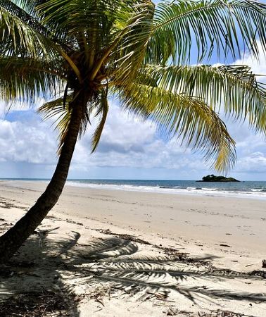3D2N • Cairns Adventure Package - 4 tours in 3 days!