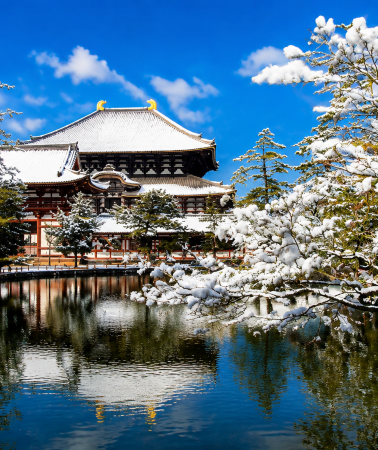 7D6N • Japan winter journey with Osaka, Nara, Mie and Wakayama coastal highlights, marine experiences and local attractions