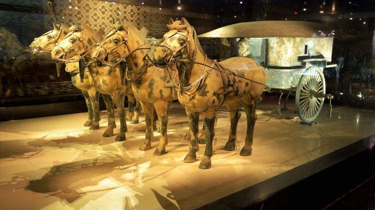 4D3N · Private Tours · Emperor Qinshihuang's Mausoleum Site Museum + Grand Tang Mall + Xi'an Museum