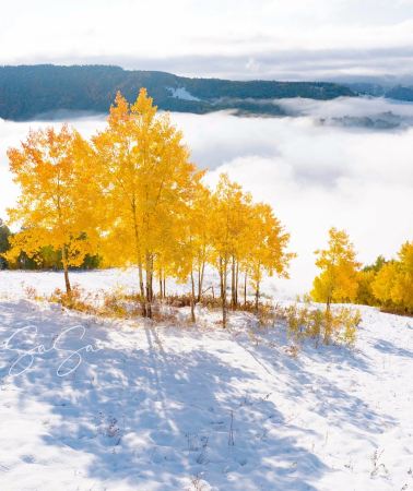 10D9N • Northern Xinjiang + Urumqi + Xinjiang Kanas National Geopark + Nalati Scenic Area