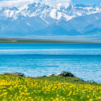 新疆乌鲁木齐+北疆+喀纳斯+赛里木湖+禾木风景区13日12晚跟团游