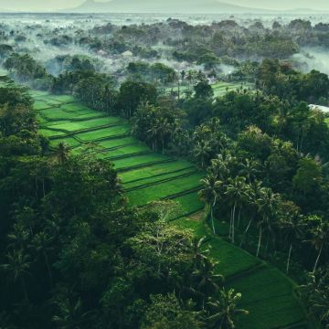 印度尼西亚巴厘岛5日4晚私家团