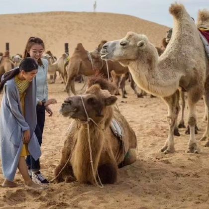 内蒙古呼和浩特+希拉穆仁草原+响沙湾3日2晚拼小团