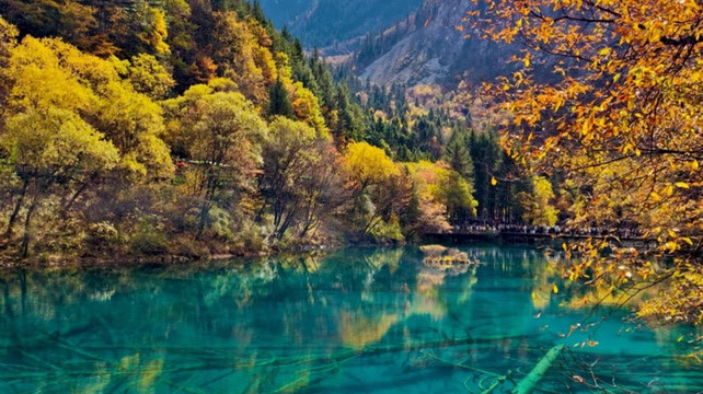 九寨沟旅行社前十强：2025年避坑指南