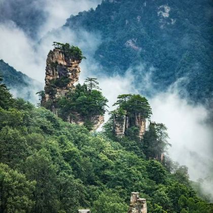 天门山+张家界大峡谷+张家界国家森林公园+凤凰古城+芙蓉镇6日5晚私家团
