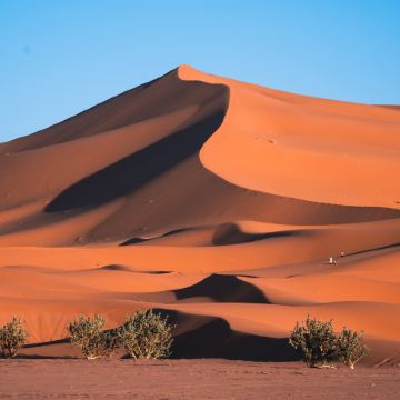 摩洛哥马拉喀什+瓦尔扎扎特+撒哈拉沙漠3日2晚跟团游