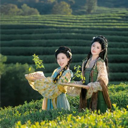 武夷山+厦门+鼓浪屿+福建土楼6日5晚跟团游