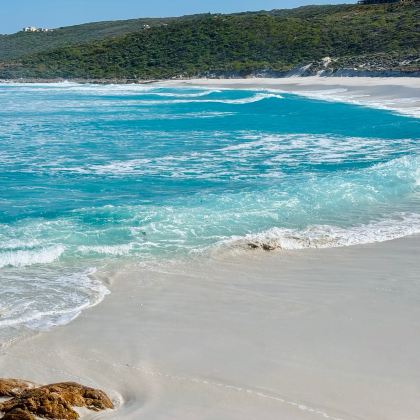 澳大利亚西澳大利亚9日8晚私家团