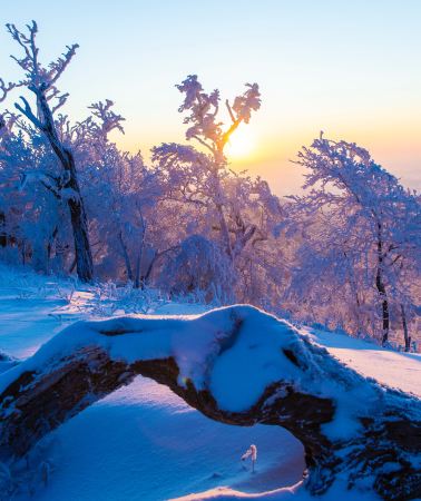 2D1N • Harbin + Yabuli Ski Resort + Xuexiang National Forest Park: Snow Town 3-star Hotel
