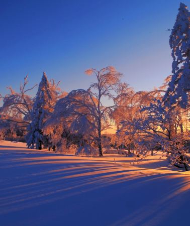 2D1N • Harbin + Xuexiang National Forest Park - Snow Town 4-star Hotel