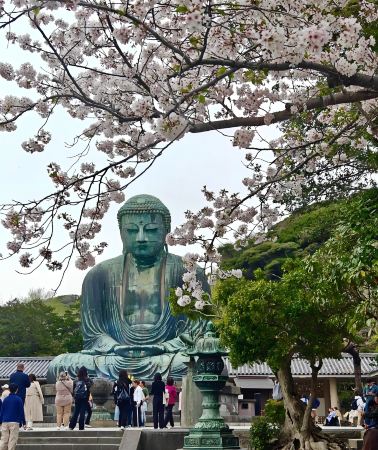 8D7N • Osaka + Kyoto + Tokyo + Mt. Fuji + Kamakura, Japan | 5-Star Hotel | Small Group Tour | Includes JR Shinkansen | Kiyomizu-dera Temple & Nara | Oshino Hakkai & Lake Kawaguchi & Kamakura | Airport Transfer Included