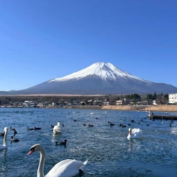 日本大阪6日5晚私家团