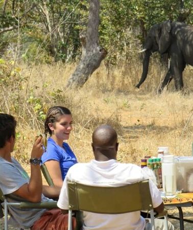 2D1N • Chobe Safari Overnight Camping Trip