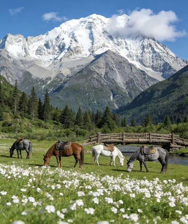 6D5N • Private car + entrance tickets: West Sichuan highlights: Dujiangyan + Mt Siguniang + Moshi Park + Tagong Grassland + Jiagenba + Panda + airport transfer
