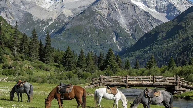 5D4N · Private Tours · Western Sichuan for Nature Lovers: Daocheng Yading, Mount Siguniang, Xinduqiao & Yuzixi - Snow Mountains, Tibetan Grasslands & Starry Skies