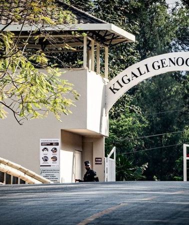 2D1N • Private 2 days Chimpanzee Tracking and Canopy Walk Nyungwe