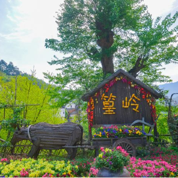 婺源+宏村3日2晚跟团游