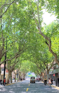 历史人文·上海【百年愚园路】半日营，建筑可阅读，感受建筑背后的历史故事，打卡文艺与海派文化图片
