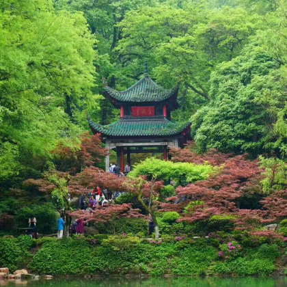 长沙3日私家团
