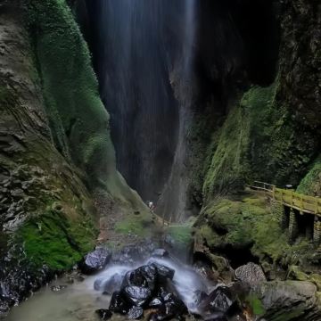 重庆+武隆区+大足石刻5日4晚私家团