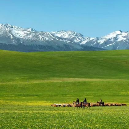 新疆伊犁+那拉提草原+火焰山景区+赛里木湖8日7晚私家团