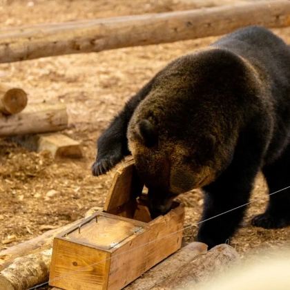日本北海道登别+洞爷湖町+小樽+札幌7日6晚自由行