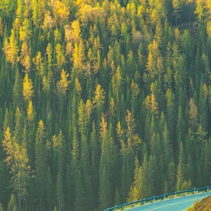 阿勒泰地区+禾木风景区+喀纳斯4日3晚私家团