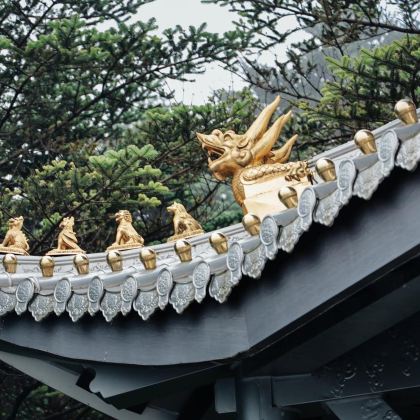 峨眉山+乐山大佛+蜀南竹海+自贡恐龙博物馆+自贡彩灯公园+武侯祠6日5晚私家团