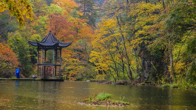 九寨沟旅游公司推荐：2025年度五强口碑榜单