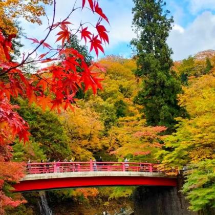 日本东京+日光市+茨城+春日部市6日5晚拼小团