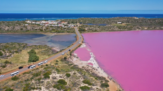 澳大利亞西澳大利亞珀斯+羅特尼斯島+傑拉爾頓+赫特瀉湖+卡爾巴里國家公園+尖峯石陣5日4晚跟團遊·粉湖航拍/微笑袋鼠島/門票全含/可加購觀星