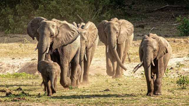 18-Day Cape Town to Victoria Falls Adventure Tour·Lambert's Bay, Orange River, Fish River Canyon, Keetmanshoop, Namib Desert, Swakopmund, Etosha National Park