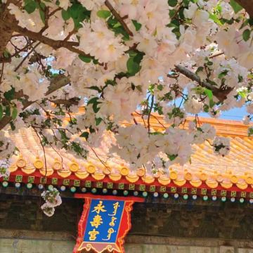 北京5日4晚私家团