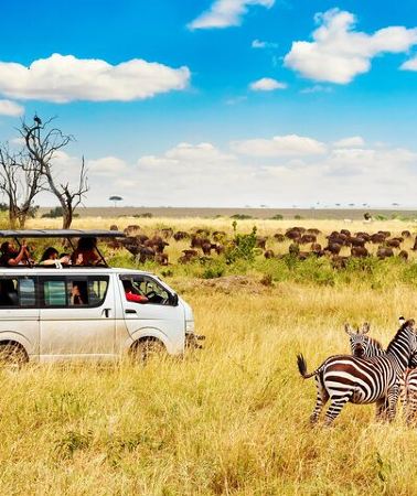 5D4N • 5 Days Masai Mara, Lake Nakuru & Naivasha Budget Joining Safari