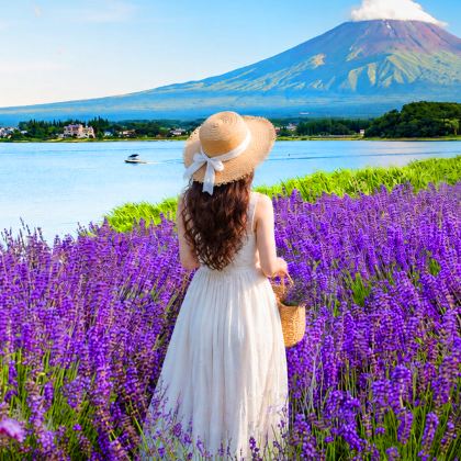 东京+富士山+日光东照宫5日4晚跟团游