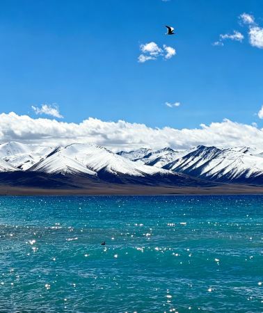 9D8N • Lhasa + Nyingchi + Bome + Yamdrok Yumtso + Namtso + Potala Palace